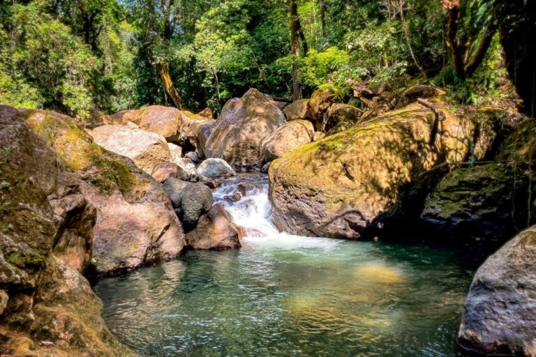 108e040b-c406-45d1-9600-e41285e082c6