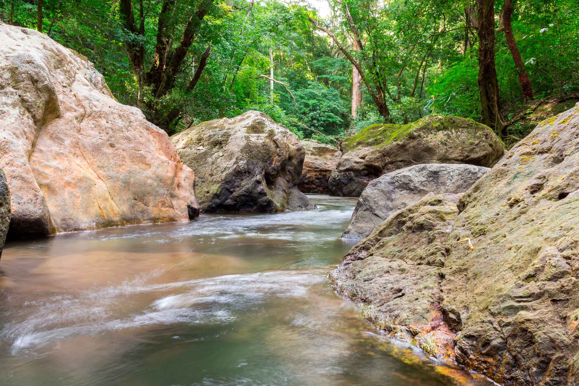 The Machuca River running between rocks under forest canopy