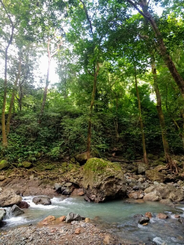 IMG-20251123-WA0190-1