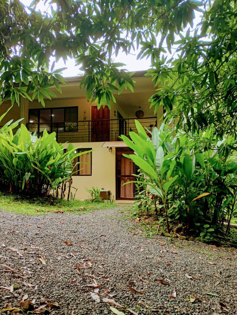 IMG-20251123-WA01981-1