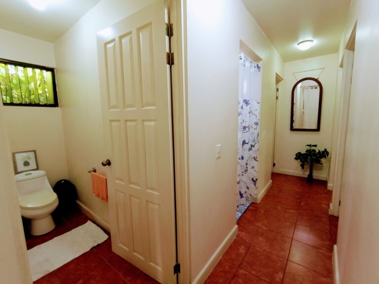 IMG-20251123-WA0241-1