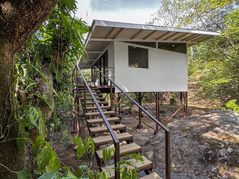 LEVJungleCasita1