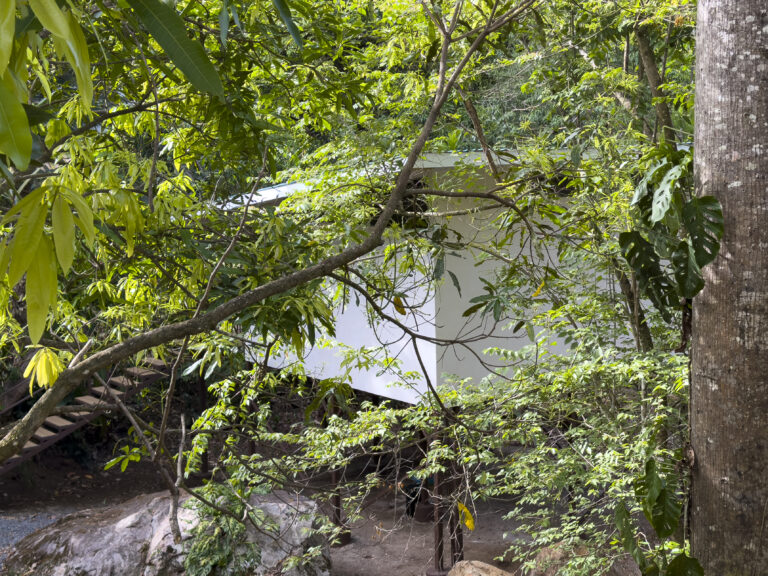 LEVJungleCasita7