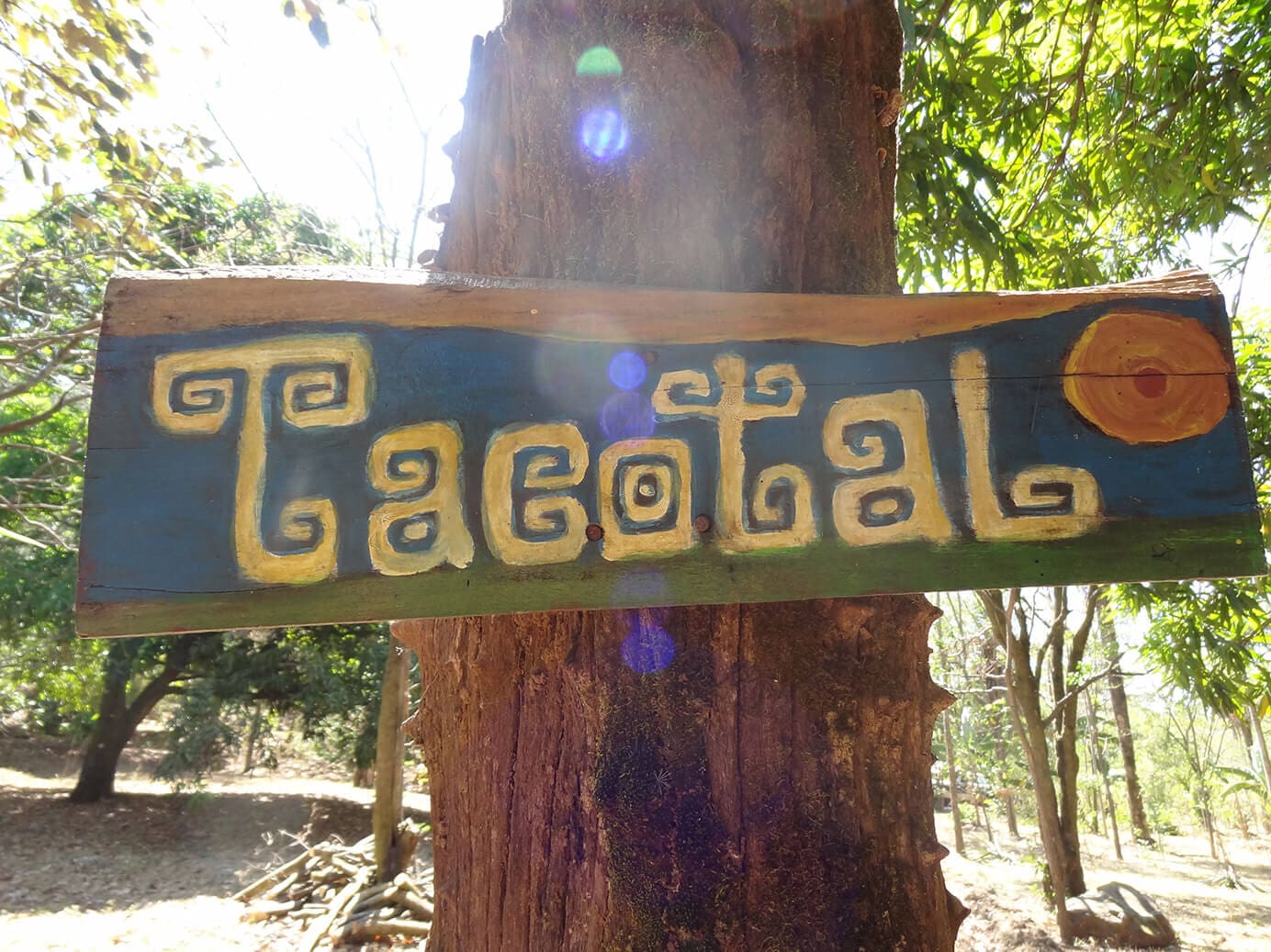 The hand-painted Tacotal sign nailed to a tree at the entrance