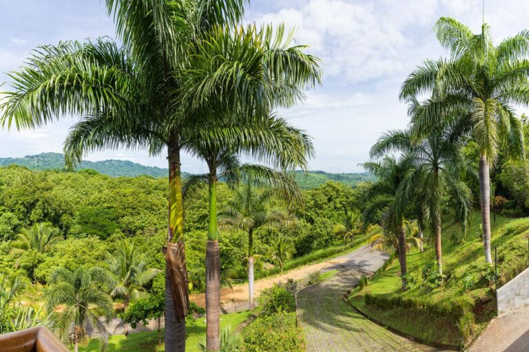 WhatsApp-Image-2026-03-12-at-07.30.55-3