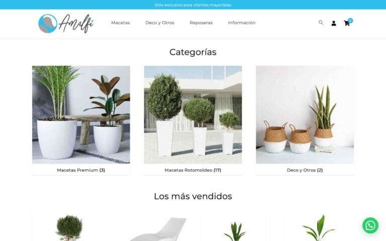 proyectos-tienda-mayorista-cat