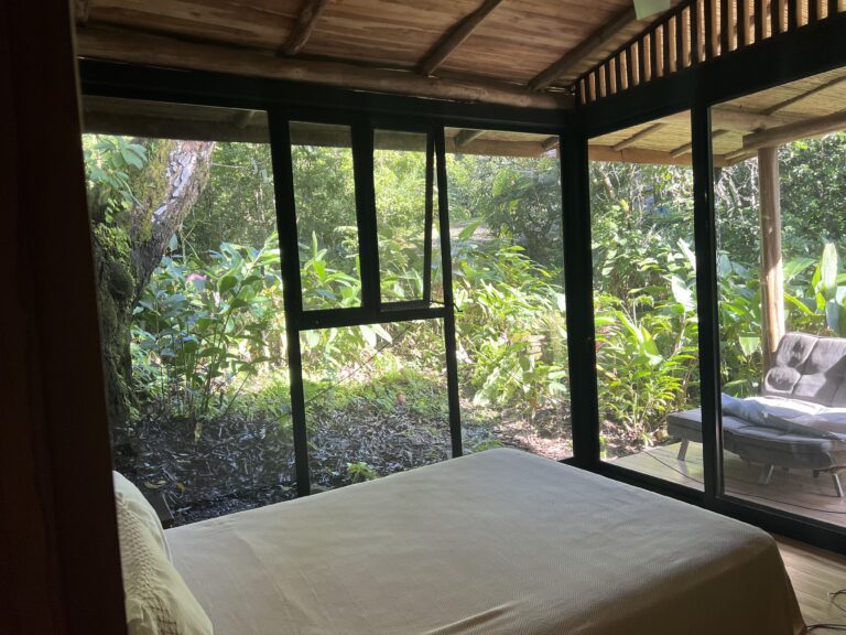 u428209554-IMG_7527-1