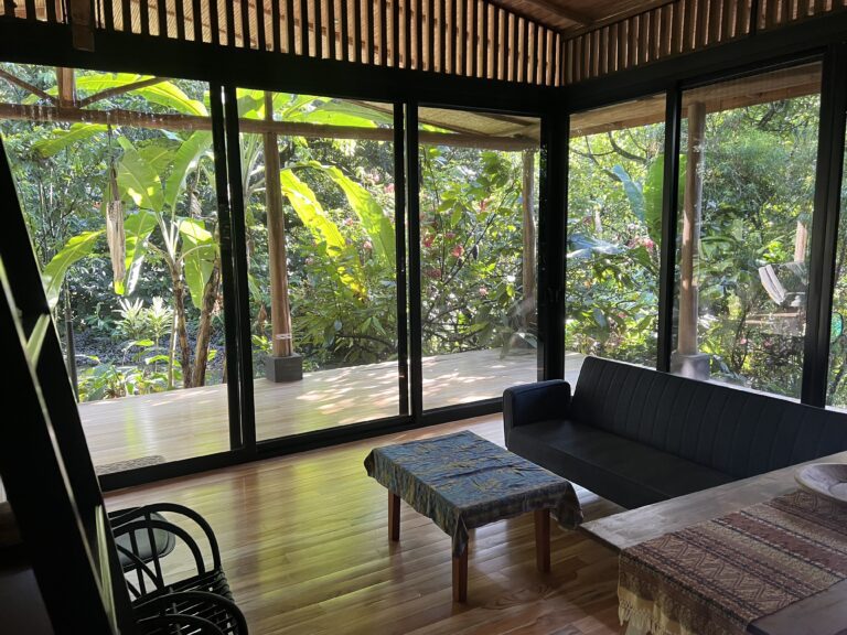 u428209554-IMG_7528-1