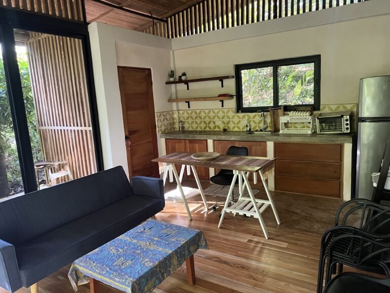 u428209554-IMG_7529-1